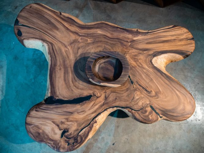 Live Edge Monkey Pot Rooted Center Table