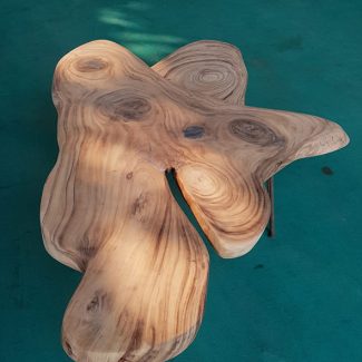 Claro Burl Coffee Table