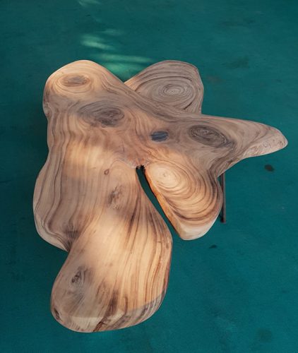 Claro Burl Coffee Table Product